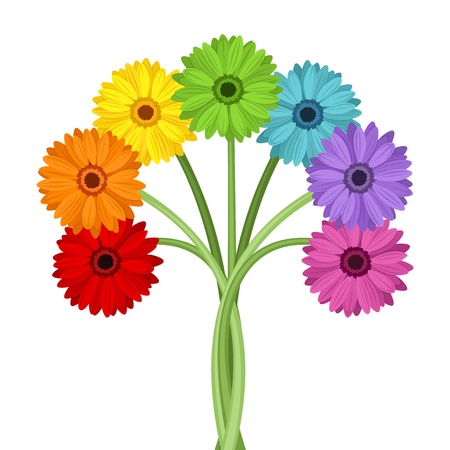 Bouquet of colorful gerbera flowers  Vector illustration のイラスト素材