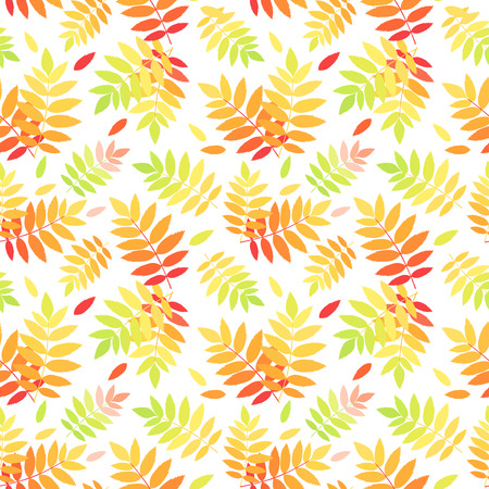 Seamless pattern with autumn colorful rowan leaves  Vector illustration のイラスト素材