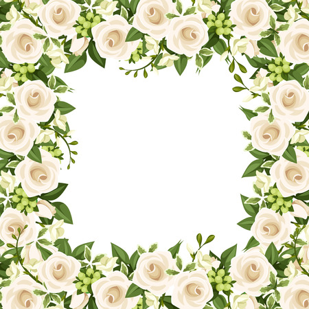 Vector background with white roses and freesia flowers のイラスト素材