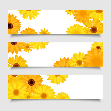 Three vector banners with orange and yellow gerbera flowers のイラスト素材