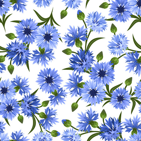 Seamless pattern with blue cornflowers  Vector illustration のイラスト素材