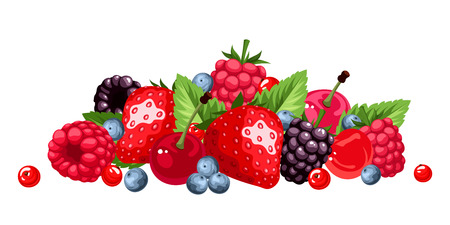 Berries isolated on white. Vector illustration.のイラスト素材
