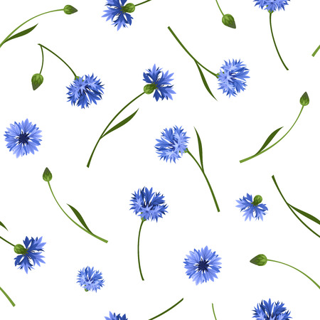 Seamless pattern with blue cornflowers. Vector illustration.のイラスト素材