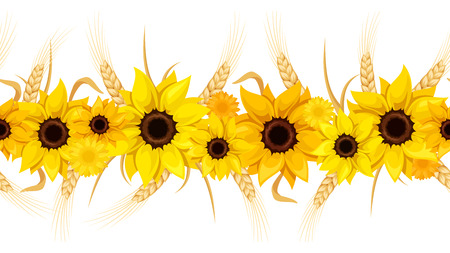 Horizontal seamless background with sunflowers and ears of wheat. Vector illustration.のイラスト素材