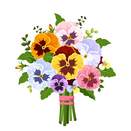 Bouquet of colorful pansy flowers. Vector illustration.のイラスト素材