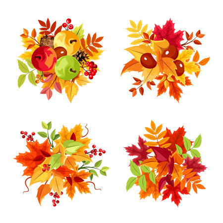 Set of four vector colorful autumn leaves bouquets isolated on a white background.のイラスト素材