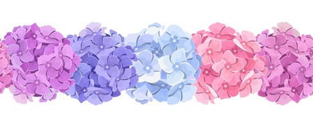 Vector horizontal seamless background with pink, blue and purple hydrangea flowers.のイラスト素材