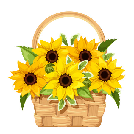 Vector illustration of a basket with sunflowers isolated on a white background.のイラスト素材