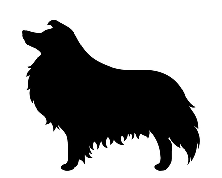 Vector black silhouette of a collie dog isolated on a white background.のイラスト素材