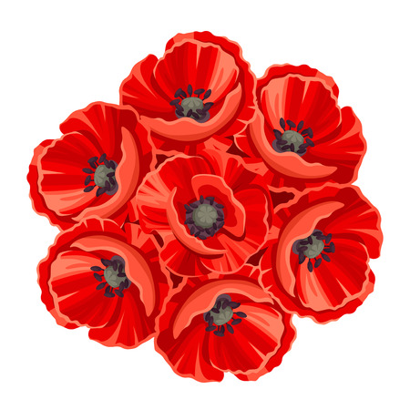 bouquet of red poppy flowers isolated on a white background.のイラスト素材