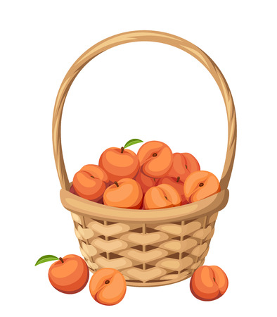 Vector woven basket with peach fruit isolated on a white background.のイラスト素材