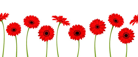 Vector horizontal seamless background with red gerbera flowers.のイラスト素材