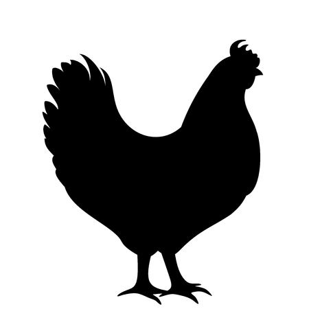 Vector black silhouette of a hen on a white background.のイラスト素材