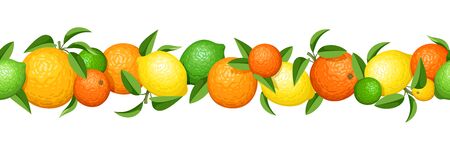 Vector horizontal seamless garland with various citrus fruits and green leaves.のイラスト素材
