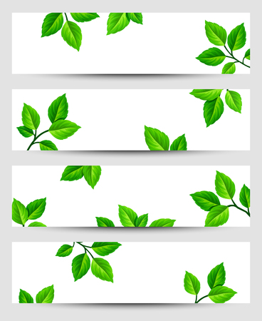 Set of vector web banners with green leaves.のイラスト素材