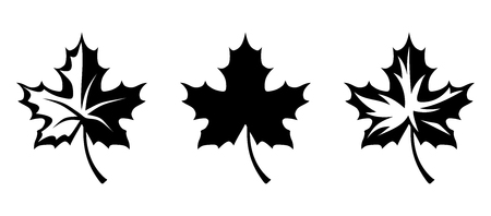 Vector black silhouettes of maple leaves isolated on a white background.のイラスト素材