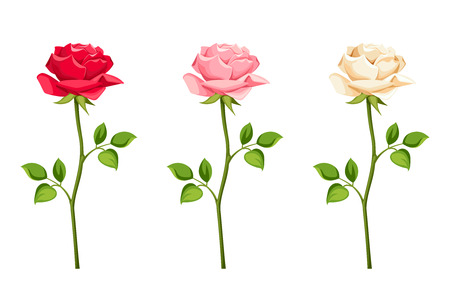 Vector set of roses with stems isolatedのイラスト素材