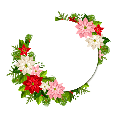 Vector Christmas card with fir branches, colorful poinsettia flowers and cones.のイラスト素材