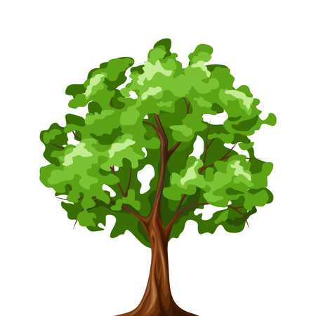 Vector illustration of a green deciduous tree isolated on a white background.のイラスト素材