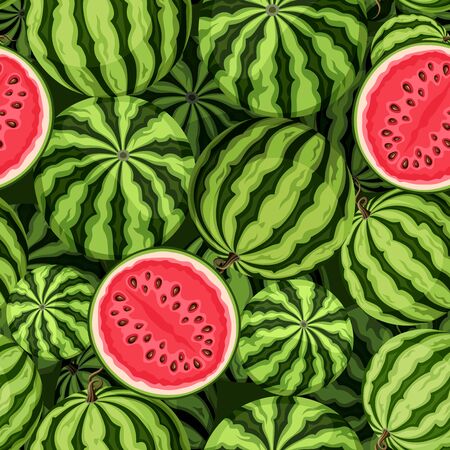 Vector seamless background with watermelons.のイラスト素材