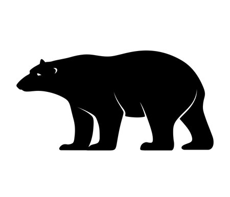 Vector black silhouette of a polar bear isolated on a white background.のイラスト素材