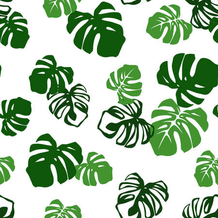Vector tropical seamless pattern with green monstera leaves on white.のイラスト素材