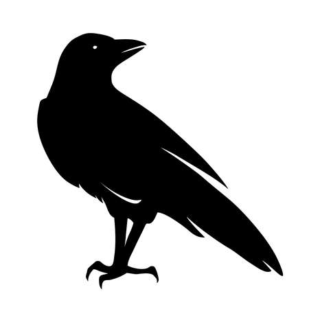Vector black silhouette of a raven bird isolated on a white background.のイラスト素材