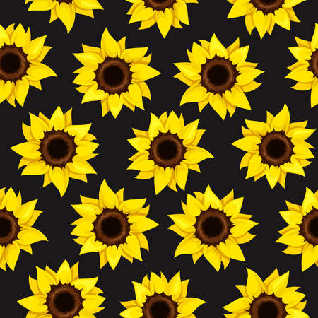 Vector seamless pattern with yellow sunflowers on a black backgroundのイラスト素材