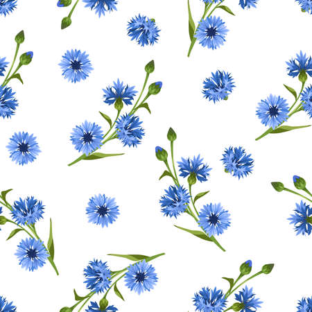 Vector seamless floral pattern with blue cornflowers on a white backgroundのイラスト素材