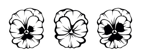 Pansy flowers. Black silhouettes of pansy flowers isolated on a white background. Set of black and white vector illustrationsのイラスト素材
