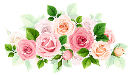 Pink and white rose flowers. Floral design element with pink and white roses and green leaves isolated on a white background. Vector illustrationのイラスト素材