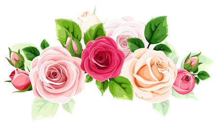 Roses. Red, pink, and white rose flowers and green leaves isolated on a white background. Vector illustrationのイラスト素材
