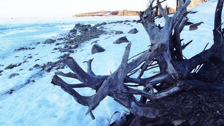 The frozen Bank of the river.の写真素材