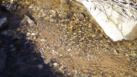 Spring stream flows among the stones.