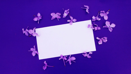 Blue background with flowers.Congratulations on the holiday.の写真素材