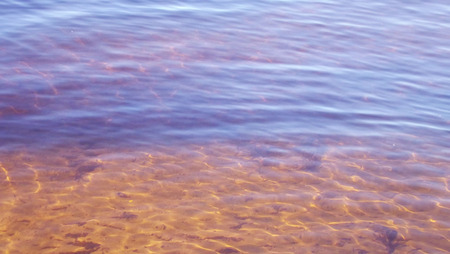 Sunlight in the water.River in Sunny day.の写真素材