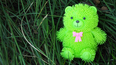 Green Teddy bear on the grass.の写真素材