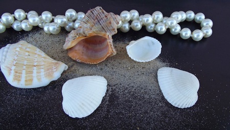 Beautiful pearl beads and seashells on black background.の写真素材