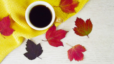 A cup of coffee and colorful autumn leaves on a yellow background.