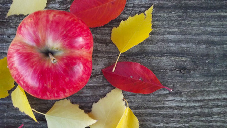 Fresh apples and autumn multicolored leaves on wooden background.の写真素材