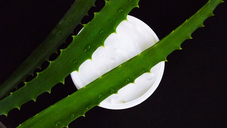 Aloe Vera cosmetic on a black background.の写真素材