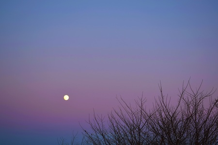 Full moon.Beautiful winter landscape.Round moon in the evening sky.の写真素材