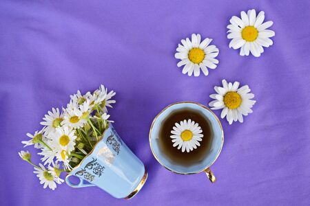 Lilac background.Alternative medicine.の写真素材