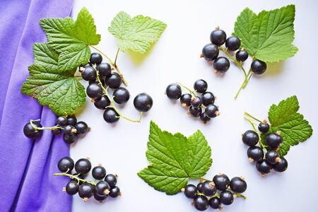 Ripe, sweet black currant on white background.Healthy fruit.の写真素材