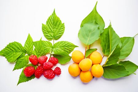 Ripe, sweet berries and green leaves, green leaves on white background.