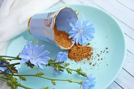 Ground chicory and blue chicory flowers on blue background. Alternative to coffee.の写真素材
