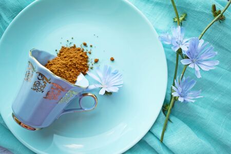 Ground chicory and blue chicory flowers on blue background. Alternative to coffee.の写真素材