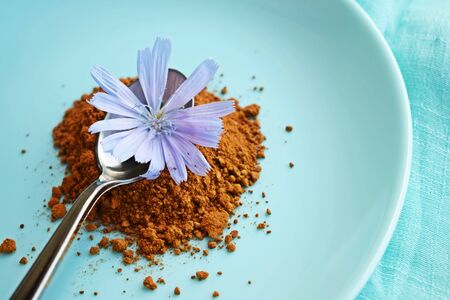 Ground chicory and blue chicory flowers on blue background. Alternative to coffee.の写真素材