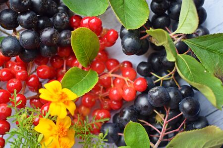 Ripe berries of black chokeberry and red viburnum on wooden backgroundの写真素材