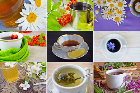 Useful tea from a variety of herbs.Collage.Alternative medicine.の写真素材
